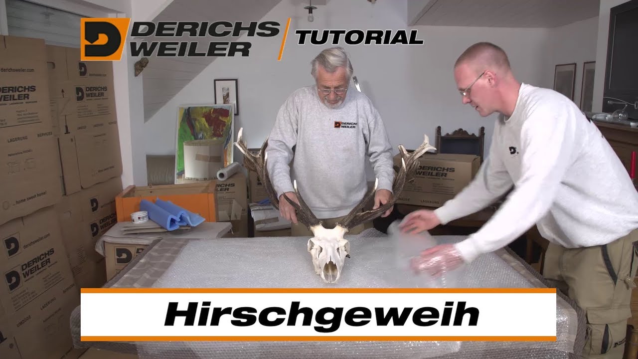 Derichsweiler Umzüge Lagerung Services GmbH - Tutorial Hirschgeweih einpacken
